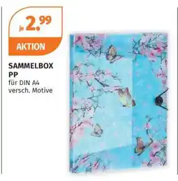 Müller SAMMELBOX PP Angebot