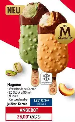 METRO Magnum Angebot