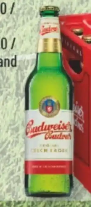 trinkgut Budweiser Budvar (CZ) Bier Angebot