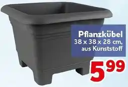 CENTERSHOP Pflanzkübel Angebot