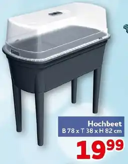 CENTERSHOP Hochbeet Angebot