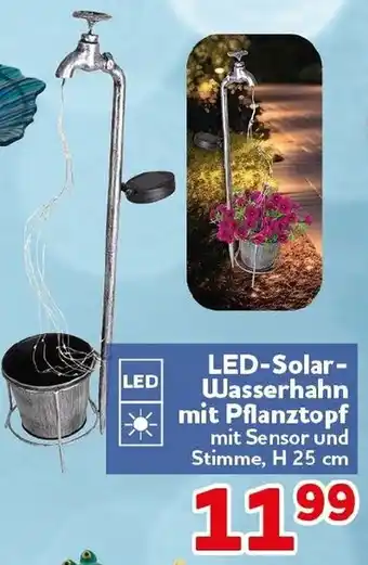CENTERSHOP LED-Solar Wasserhahn mit Pflanztopf Angebot