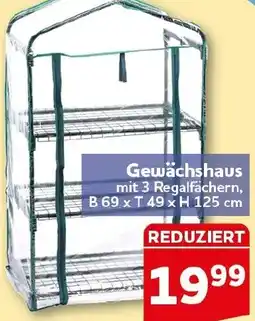 CENTERSHOP Gewächshaus Angebot