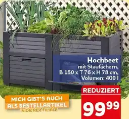 CENTERSHOP Hochbeet Angebot