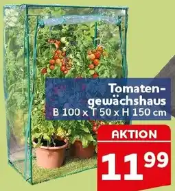 CENTERSHOP Tomatengewächshaus Angebot