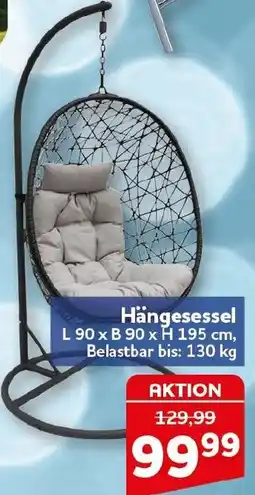 CENTERSHOP Hängesessel Angebot