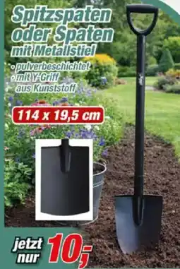 Posten Börse Spitzspaten oder Spaten mit Metallstiel Angebot