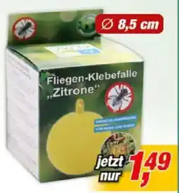 Posten Börse ALMA Garden Fliegen-Klebefalle Zitrone Angebot