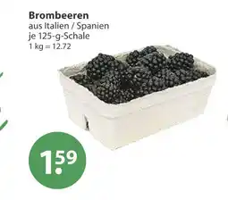 V Markt Brombeeren Angebot