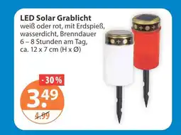 V Markt Led solar grablicht Angebot