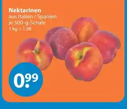 V Markt Nektarinen Angebot