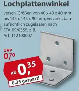 Sonderpreis Baumarkt Lochplattenwinkel Angebot