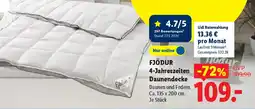 Lidl FJÖDUR 4-Jahreszeiten Daunendecke Angebot