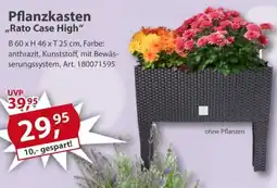 Sonderpreis Baumarkt Pflanzkasten ,,Rato Case High" Angebot