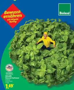 Lidl BIOLAND Deutsche Topfkräuter Angebot
