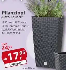 Sonderpreis Baumarkt Pflanztopf ,,Rato Square" Angebot
