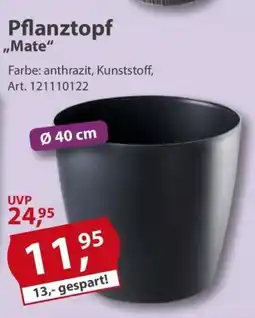 Sonderpreis Baumarkt Pflanztopf ,,Mate" Angebot