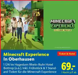 Lidl Minecraft Experience in Oberhausen Angebot