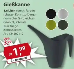 Sonderpreis Baumarkt Gieẞkanne Angebot