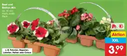 Netto Marken-Discount Beet und Balkon Mix Angebot