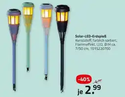 ROLLER Solar-LED-Erdspieß Angebot