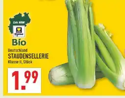 Marktkauf Staudensellerie Angebot