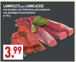 Marktkauf Lammfilets Angebot