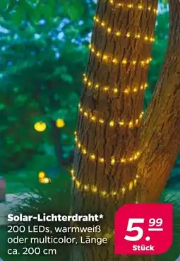 Netto Solar-Lichterdraht Angebot