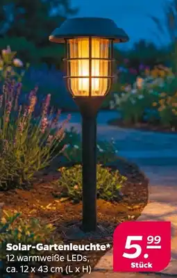 Netto Solar-Gartenleuchte Angebot