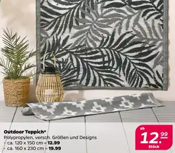 Netto Outdoor Teppich Angebot