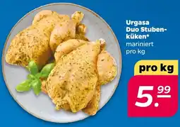 Netto Urgasa Duo Stubenküken Angebot