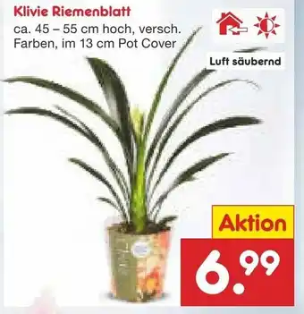 Netto Marken-Discount Klivie Riemenblatt Angebot