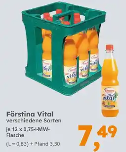 Globus Baumarkt Förstina Vital Angebot