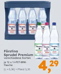 Globus Baumarkt Förstina Sprudel Premium Angebot