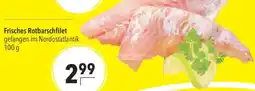 CITTI Markt Frisches Rotbarschfilet Angebot