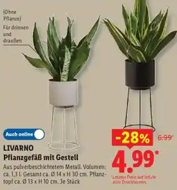Lidl LIVARNO Pflanzgefäß mit Gestell Angebot