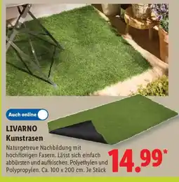 Lidl LIVARNO Kunstrasen Angebot