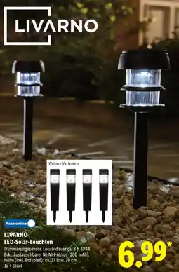 Lidl LIVARNO LED-Solar-Leuchten Angebot