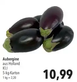CITTI Markt Aubergine Angebot