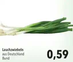 CITTI Markt Lauchzwiebeln Angebot