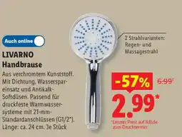 Lidl LIVARNO Handbrause Angebot