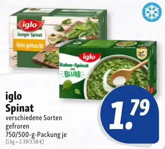 Nah & Frisch iglo Spinat Angebot