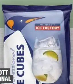 Handelshof Walter Gott Ice Factory PROFESSIONAL CUBES Angebot