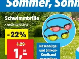 Thomas Philipps Schwimmbrille Angebot