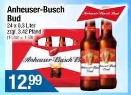 Getränke City Anheuser-busch bud Angebot