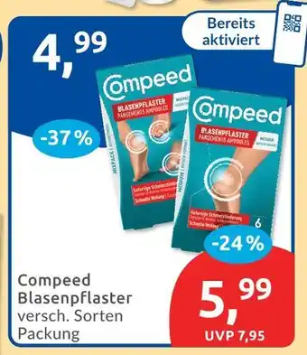 Budni Compeed blasenpflaster Angebot