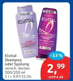Budni L'oréal paris elvital shampoo oder spülung Angebot