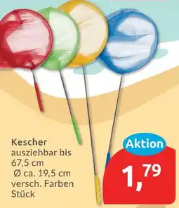 Budni Kescher Angebot