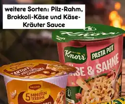 Netto Marken-Discount Knorr pasta snack Angebot