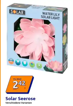 Action Solar Seerose Angebot